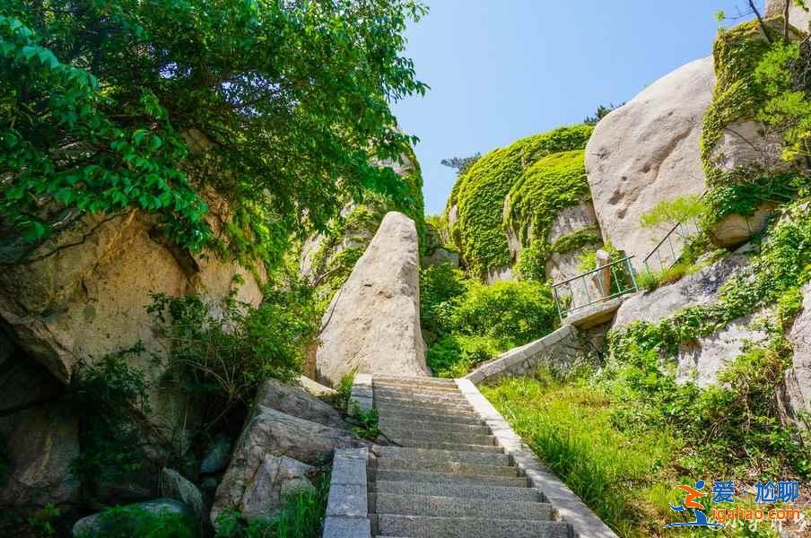 青島春季賞花有什么推薦，青島春季都有哪些花，青島最佳賞花地推薦？