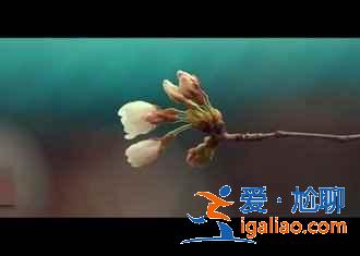 武漢自駕游去哪，周邊有什么自駕游好地方，武漢自駕游攻略？