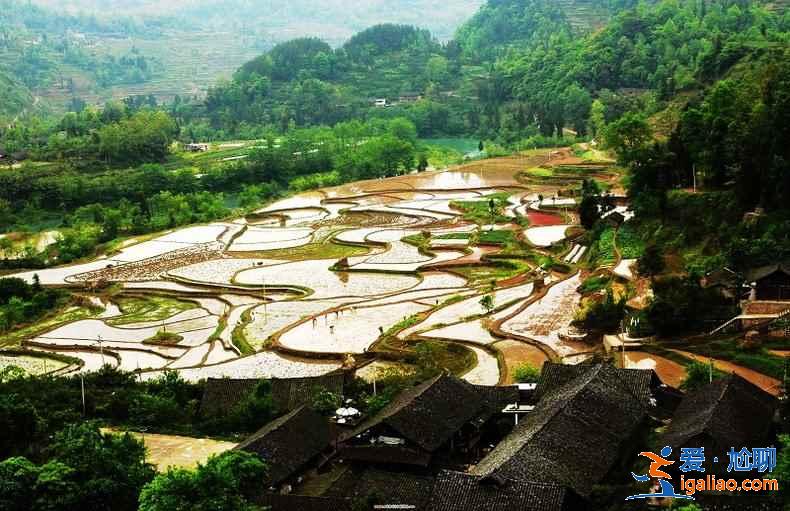 武漢自駕游去哪，周邊有什么自駕游好地方，武漢自駕游攻略？