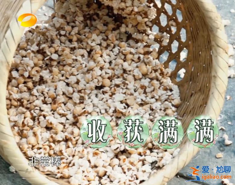 《向往的生活3》池子又炸一鍋爆米花，吼聲壯膽彭昱暢被震懵