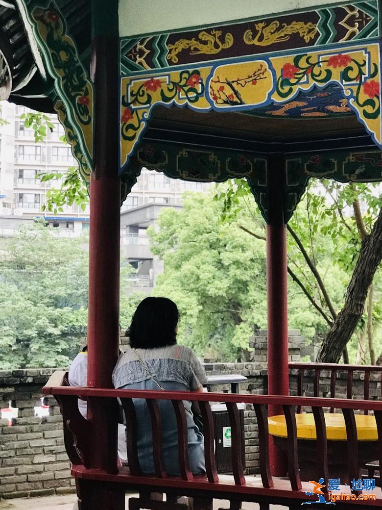 亂逛 | 西珠市街42號，露天停車場旁的園子讓人驚