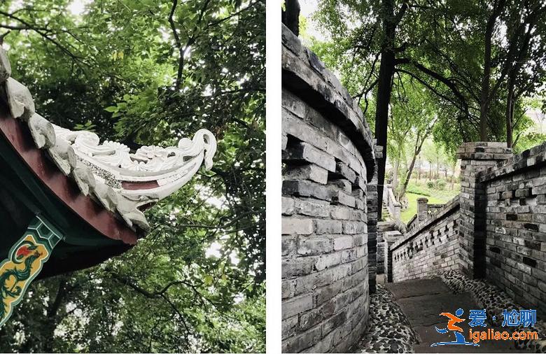 亂逛 | 西珠市街42號，露天停車場旁的園子讓人驚