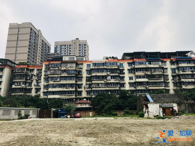 亂逛 | 西珠市街42號，露天停車場旁的園子讓人驚