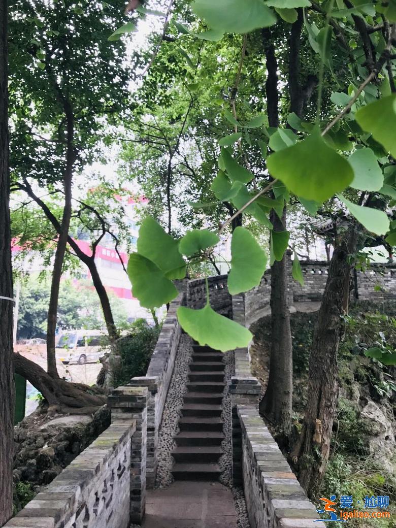 亂逛 | 西珠市街42號，露天停車場旁的園子讓人驚