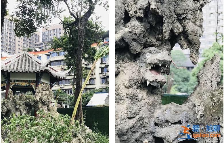 亂逛 | 西珠市街42號，露天停車場旁的園子讓人驚