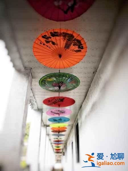 婺源有什么特產，去婺源旅游買什么，江西婺源特產盤點？