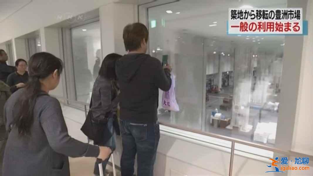 豐洲市場(chǎng)（原筑地市場(chǎng)）怎么玩，豐洲市場(chǎng)攻略？