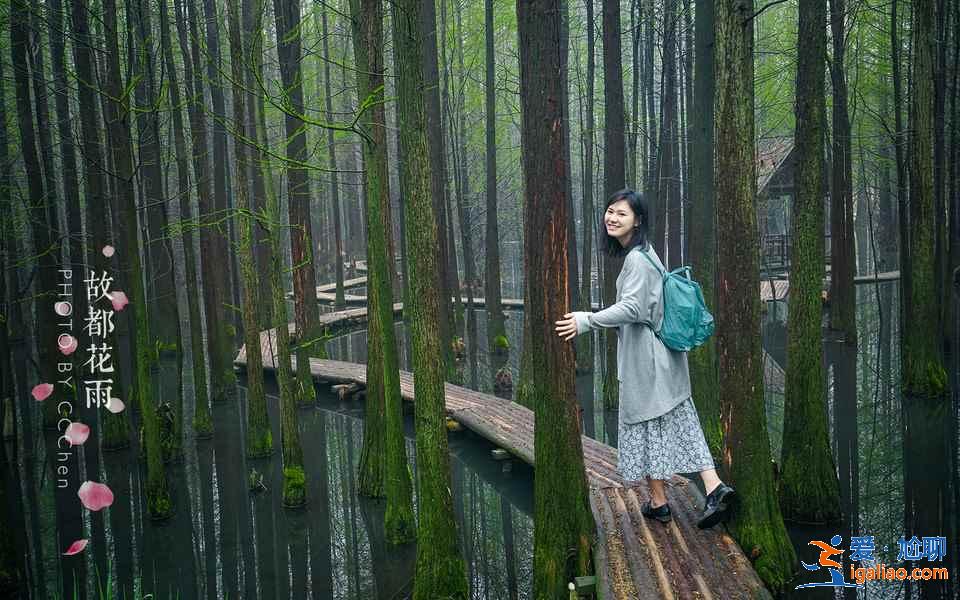 不敢相信，南京踏青居然這么美！南京清明節(jié)踏青8大好去處？