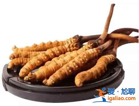 西寧特產(chǎn)有哪些，西寧必買特產(chǎn)有哪些，西寧特產(chǎn)攻略？
