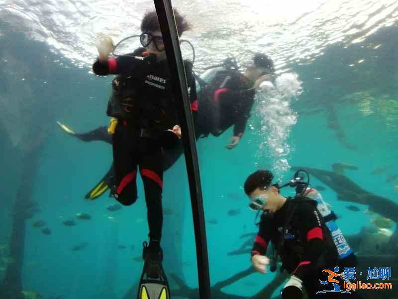 珠海長(zhǎng)隆海洋王國(guó)一日游有哪些必玩項(xiàng)目，珠海長(zhǎng)隆海洋王國(guó)人氣項(xiàng)目推薦？