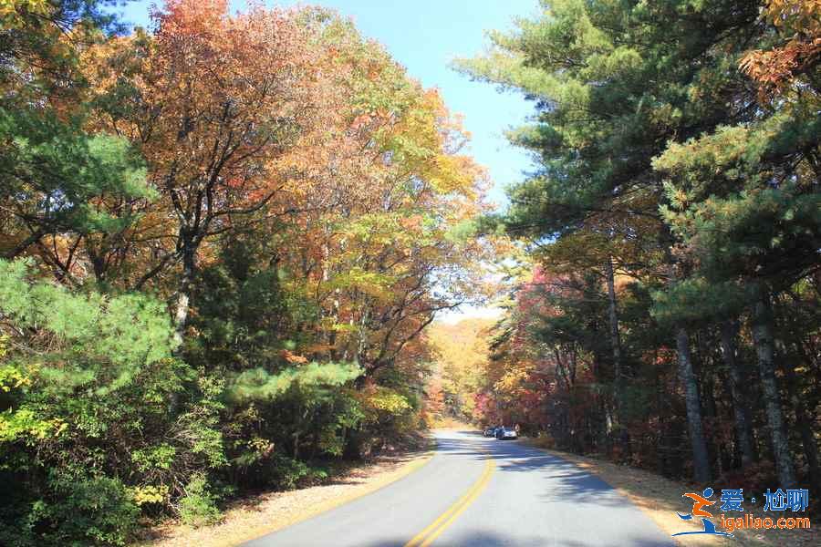 美國自駕游最佳路線推薦,美國自駕游經典線路盤點,美國最美自駕游路線攻略? 美國自駕游最佳路線推薦,美國自駕游經典線路盤點,美國最美自駕游路線攻略?