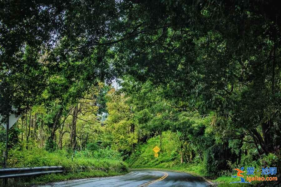 美國自駕游最佳路線推薦,美國自駕游經典線路盤點,美國最美自駕游路線攻略? 美國自駕游最佳路線推薦,美國自駕游經典線路盤點,美國最美自駕游路線攻略?