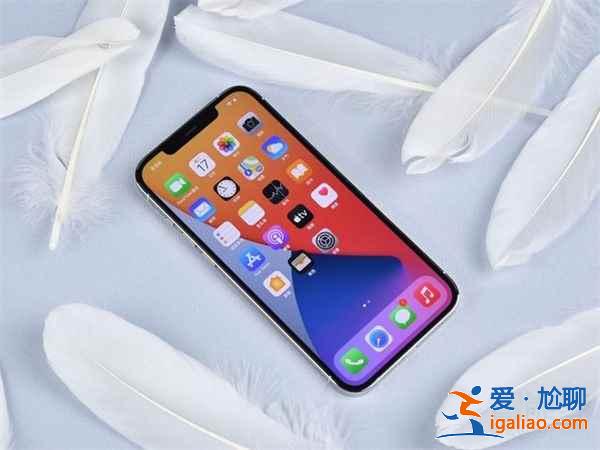 iphone12 pro max手機大嗎？