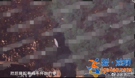 鋼琴王子？李云迪喝多竟深夜隨地小便？