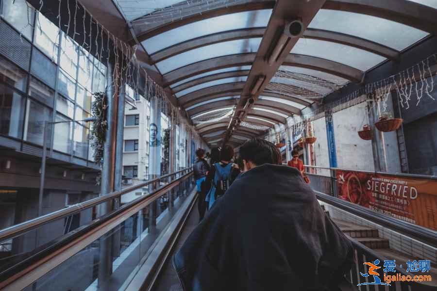香港自由行怎么玩，搭乘叮叮車體驗(yàn)多元之旅？
