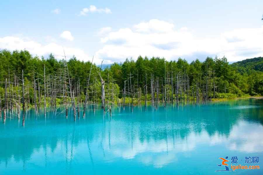 北海道有哪些小眾景點？北海道小眾景點推薦，北海道小眾景點盤點？