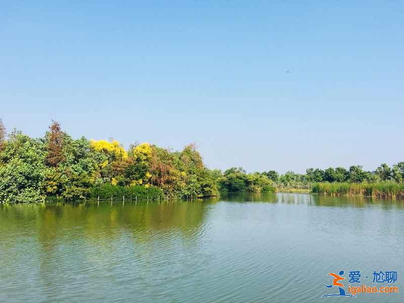 4月廣州踏青好去處，廣州4月有什么適合踏青的地方？