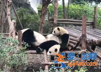 成都周邊小眾景點，成都周邊有哪些人少的地方？