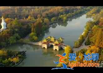 揚州瓊花什么時候開，揚州瓊花哪里看？