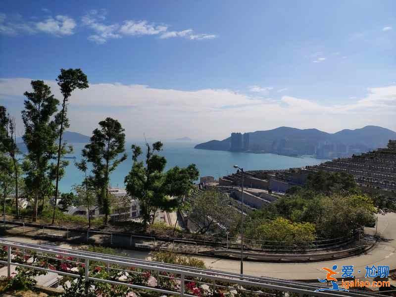 香港3月賞櫻去哪兒好？香港3月賞櫻5大推薦地，香港3月賞櫻攻略？