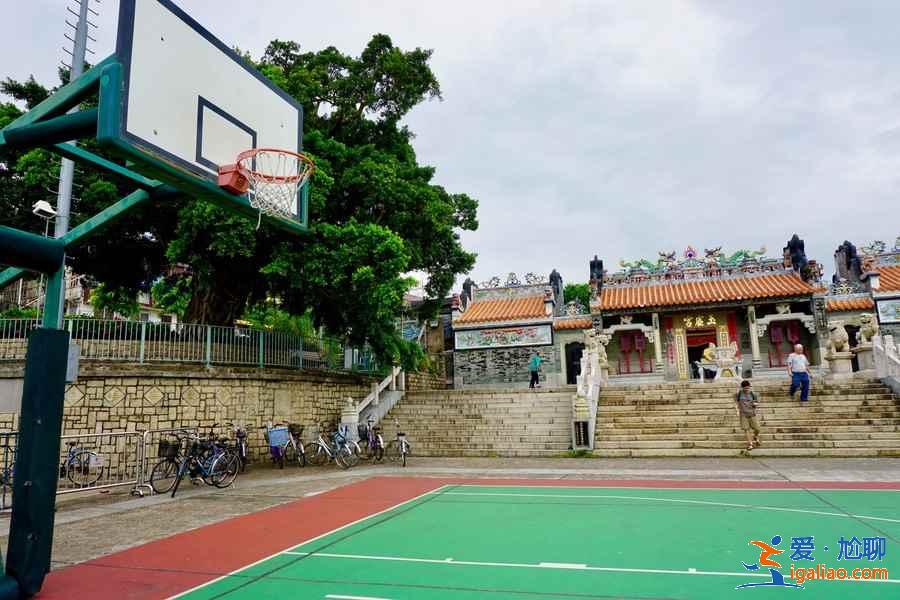香港3月賞櫻去哪兒好？香港3月賞櫻5大推薦地，香港3月賞櫻攻略？