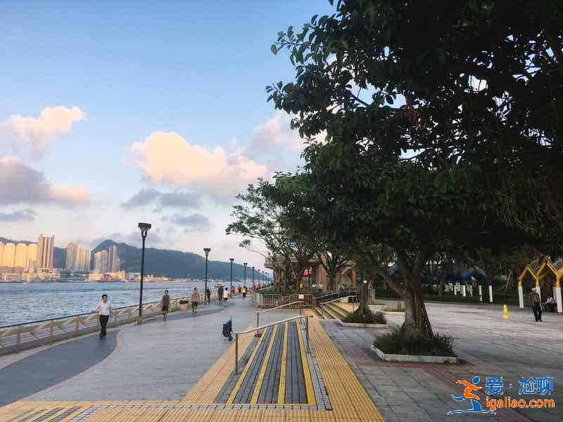 香港3月賞櫻去哪兒好？香港3月賞櫻5大推薦地，香港3月賞櫻攻略？