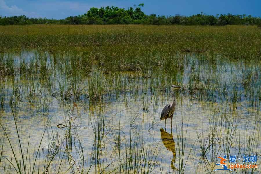 美國(guó)國(guó)家公園有哪些,美國(guó)值得一去的國(guó)家公園推薦? 美國(guó)國(guó)家公園有哪些,美國(guó)值得一去的國(guó)家公園推薦?