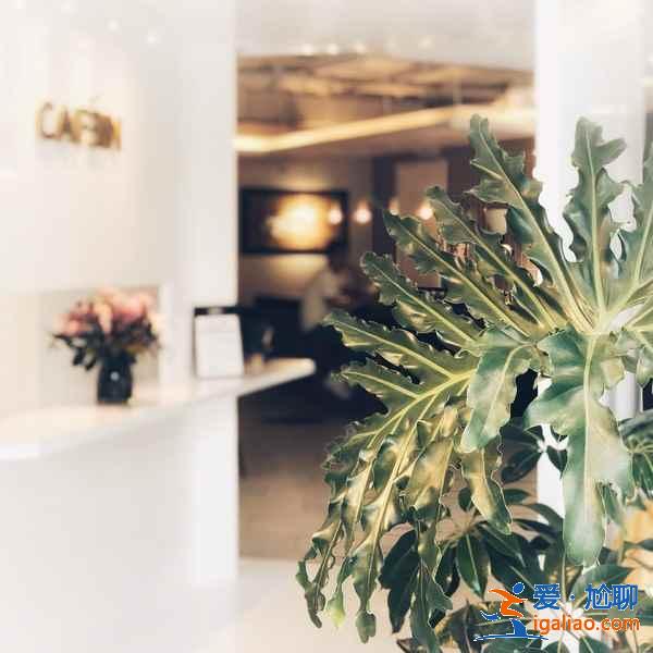 西安網(wǎng)紅咖啡廳在哪里，西安有哪些網(wǎng)紅咖啡廳，西安網(wǎng)紅咖啡廳盤點？