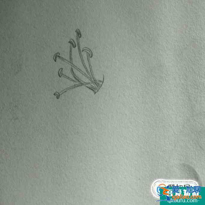 簡(jiǎn)約小百合花怎么畫好看？