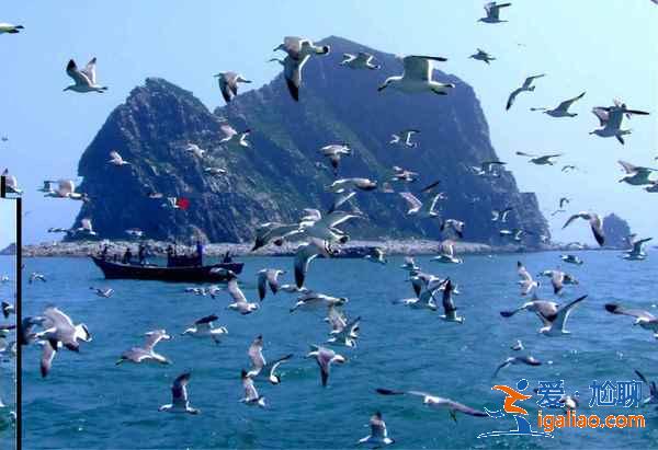 山東適合自駕游的地方,山東自駕游去哪里好玩? 山東適合自駕游的地方,山東自駕游去哪里好玩?