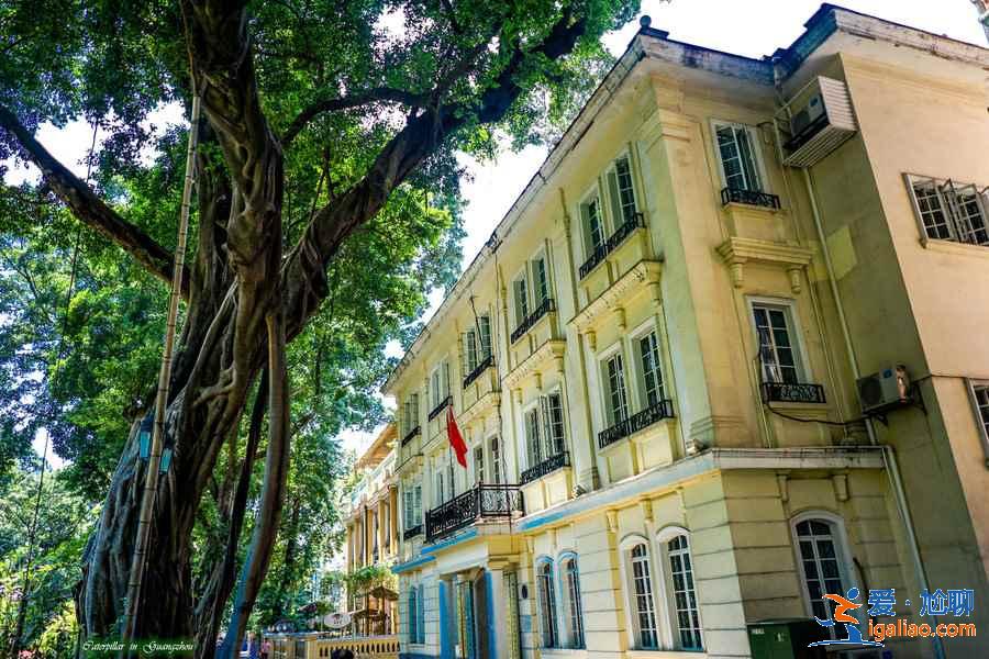 清明節3天怎么玩轉廣州著名景點，廣州清明節3日游經典路線？