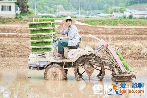 韓國翻拍《小森林》 柳俊烈金泰梨變農夫？