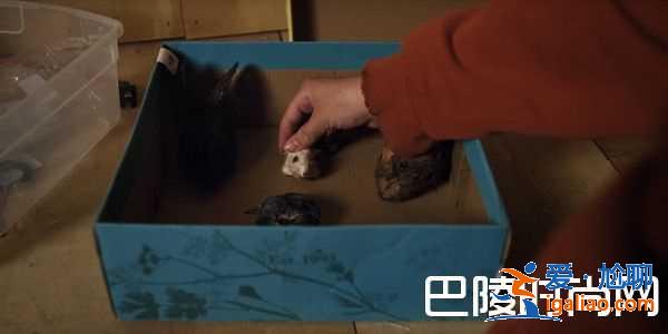 《宿怨》8個(gè)細(xì)節(jié)注意到嗎?彩蛋伏筆揭秘? 《宿怨》8個(gè)細(xì)節(jié)注意到嗎?彩蛋伏筆揭秘?