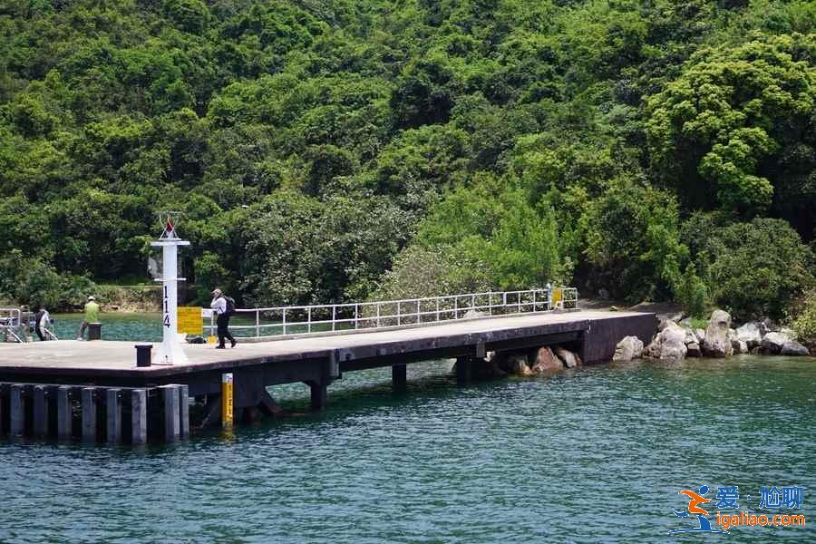 香港塔門島怎么露營，香港塔門島露營攻略，香港塔門島露營注意事項？
