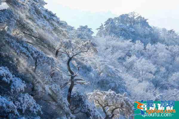 2022重慶觀賞霧凇最佳景點(diǎn)推薦？