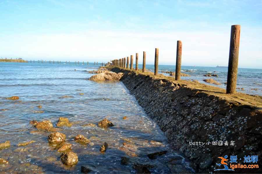 青島八大關(guān)景區(qū)怎么玩，青島八大關(guān)風(fēng)景區(qū)有哪些好玩的，青島八大關(guān)風(fēng)景區(qū)游玩攻略？