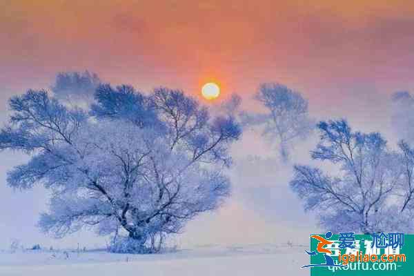冬天去哪旅游合適 國內(nèi)這些小眾地方天氣暖和還有花看？