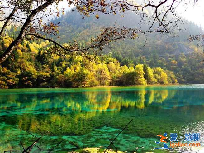 九寨溝網紅景點有哪些，九寨溝網紅景點好玩嗎，九寨溝網紅景點攻略？