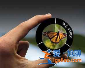 vivox60曲屏版拍照好看嗎？