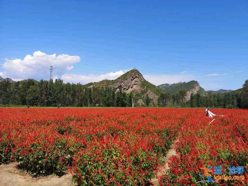 北京周邊好玩的地方有哪些，北京周邊游推薦，北京周邊游攻略？