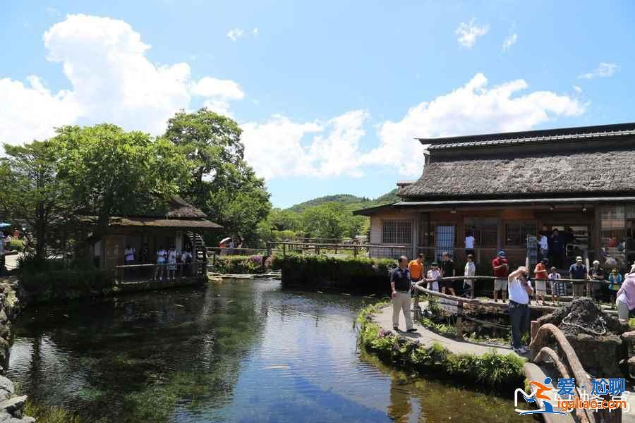 日本富士山怎么玩，日本富士山游玩攻略，日本富士山景點推薦？