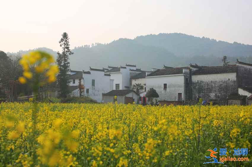 4月去婺源穿什么衣服，婺源4月當地氣溫，婺源4月游玩穿衣指南？