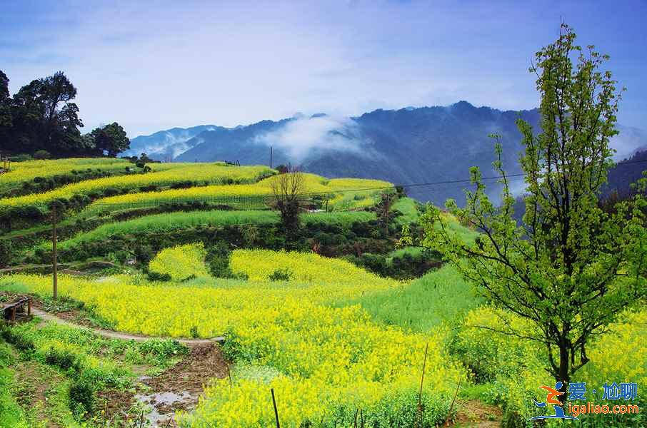 4月去婺源穿什么衣服，婺源4月當地氣溫，婺源4月游玩穿衣指南？