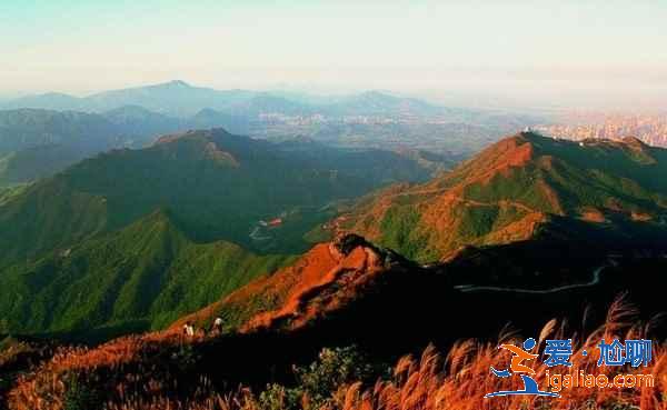 深圳周末哪里可以看日出,深圳周末看日出好去處,深圳日出圣地整理? 深圳周末哪里可以看日出,深圳周末看日出好去處,深圳日出圣地整理?