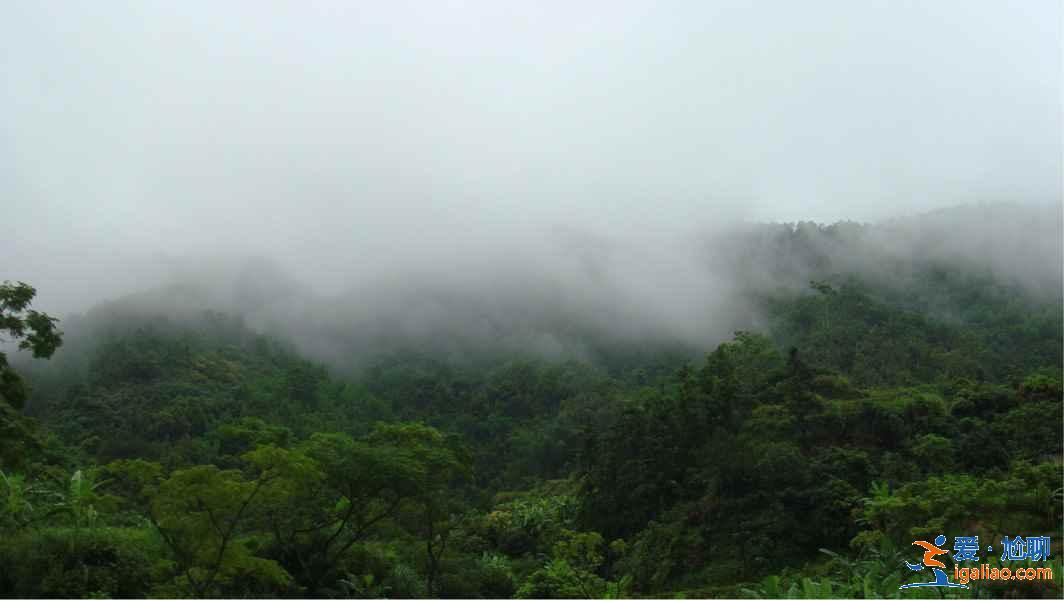 深圳去茂名怎么玩，深圳周末去茂名好玩嗎，深圳出發(fā)茂名旅游攻略？
