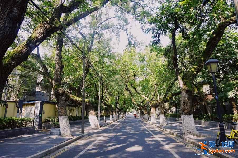 南京有哪些民國建筑，南京哪里能領略民國風情，南京最民國的地方？