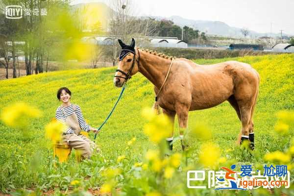 《油膩的Melo》鄭麗媛婚紗超美 油膩的浪漫好看嗎?? 《油膩的Melo》鄭麗媛婚紗超美 油膩的浪漫好看嗎??