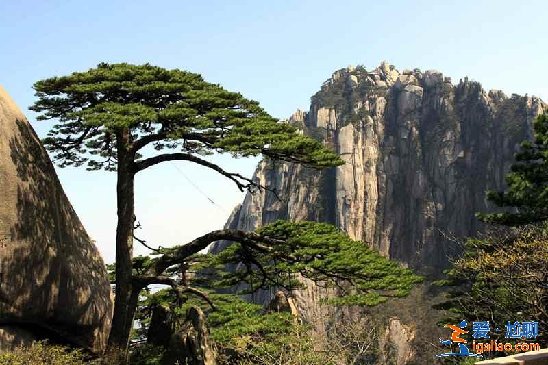 黃山景點大全，黃山有哪些景點，黃山適合怎么玩？