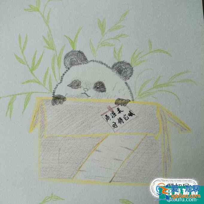 快遞員熊貓寶寶怎么畫(huà)？