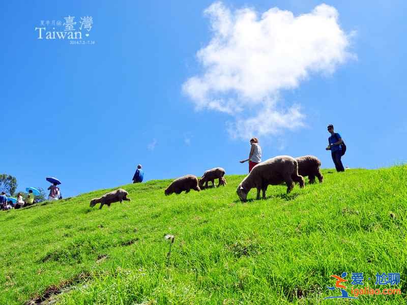 臺(tái)灣清境農(nóng)場(chǎng)春季踏青指南，臺(tái)灣清境農(nóng)場(chǎng)春季踏青，臺(tái)灣清境農(nóng)場(chǎng)春季怎么玩？